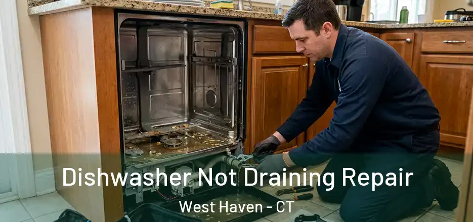 Dishwasher Not Draining Repair West Haven - CT
