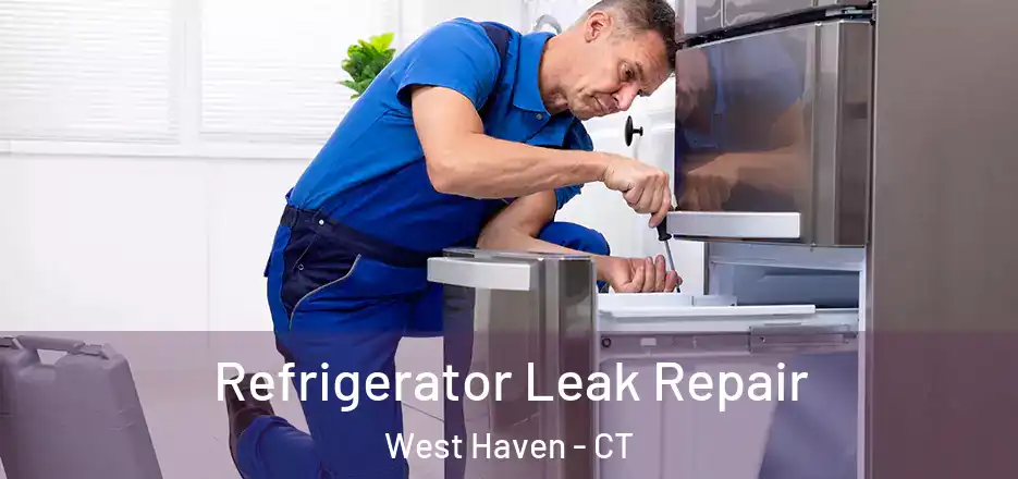  Refrigerator Leak Repair West Haven - CT